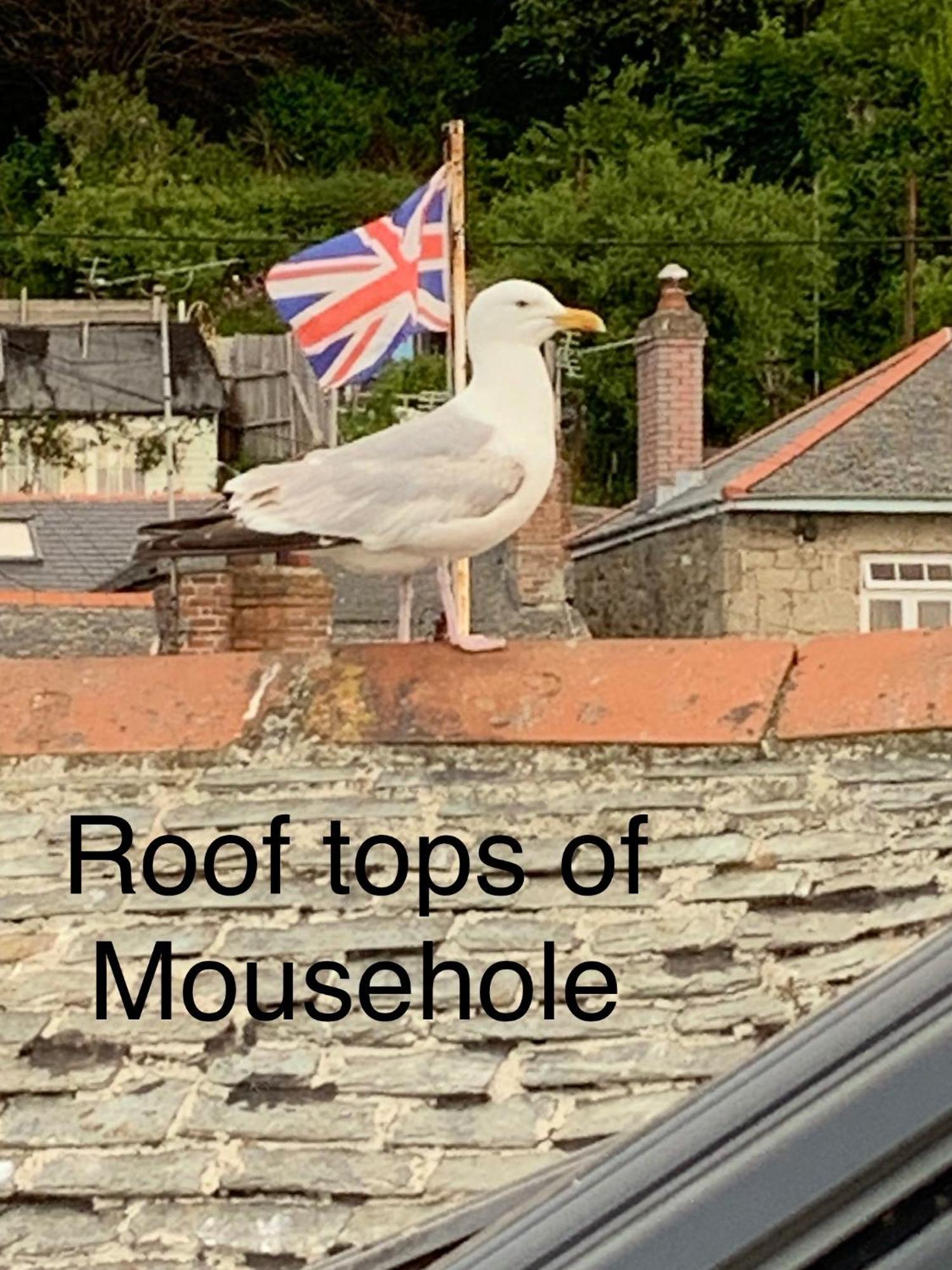 The Seawitch - Harbourside Apartment Mousehole Bagian luar foto